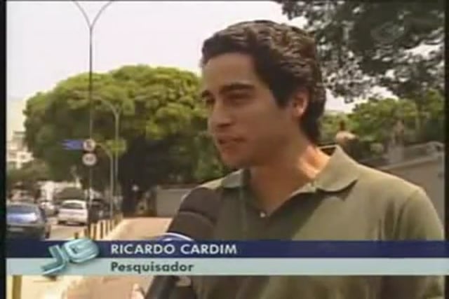 Árvores nomeiam locais de São Paulo - Ricardo Cardim