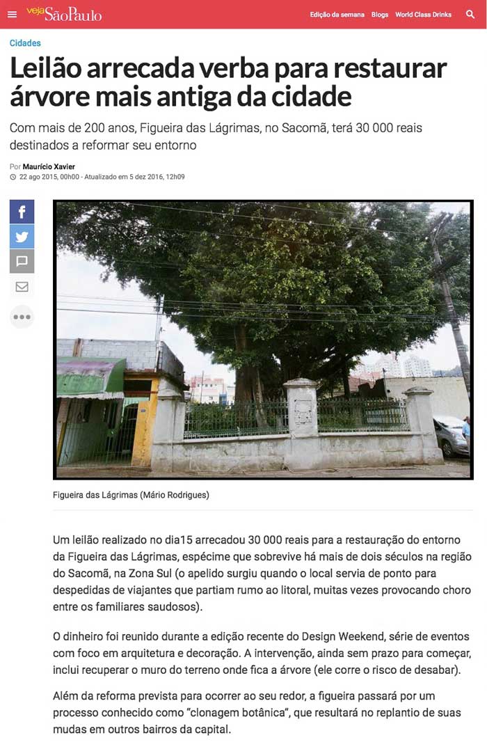 Leilão-arrecada-verba-para-restaurar-árvore-mais-antiga-da-cidade-_-VEJA-SÃO-PAULO-(2017-02-05-14-48-28)