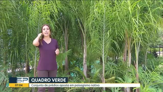 Quadro Verde Globo Gamaro 2017